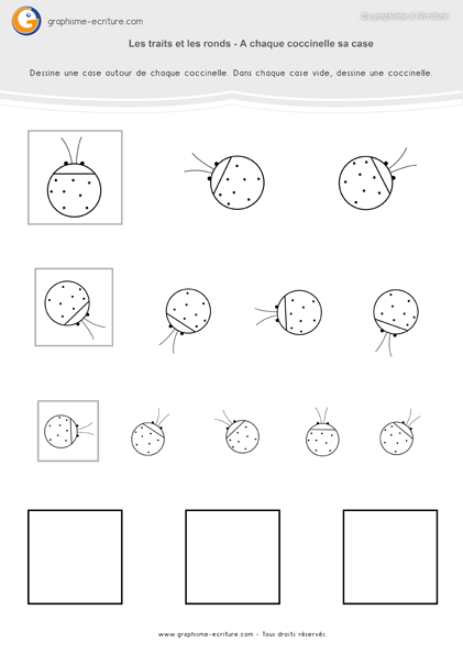 activité-graphisme-maternelle-petite-section-traits-et-ronds-cases-coccinelles 