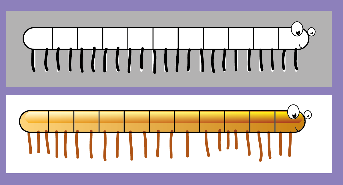 graphisme-maternelle-la-ligne-verticale-mille-pattes