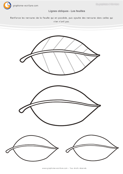 exercice-fiche- graphisme-écriture-moyenne-section-ms-traits-lignes-obliques-nervures-des-feuilles