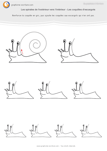 graphisme-maternelle-la-spirale-coquilles-d-escargotsr