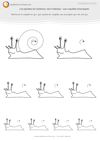 exercice-fiche-graphisme-écriture-moyenne-section-ms-les-spirales-intérieur-vers-extérieur-coquilles-d-escargots 