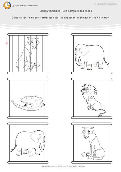 exercice-fiche- graphisme-écriture-moyenne-section-ms-faire-les-lignes-verticales-trait-vertical-barreaux-des-cages-au-zoo