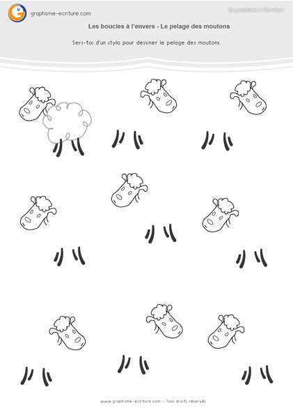 Graphisme GS Boucles à l’envers - Le pelage des moutons